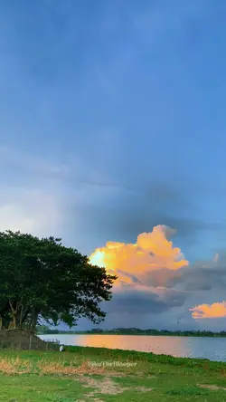 Nature Beauty 