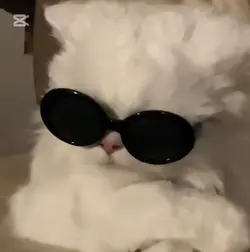 둥글게 둥글게