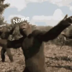 Name monkey dance