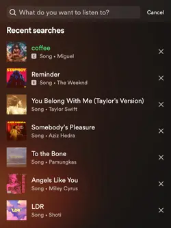 spotify name