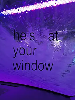 she-tylerthecreator