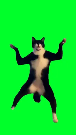 Acelerada dance