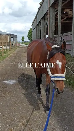 Elle l'adore ! 