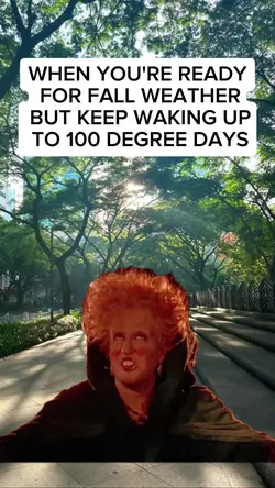 hocus pucos meme