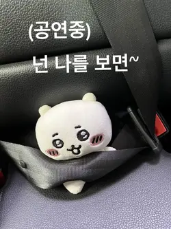티라미수 펑