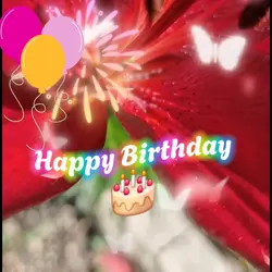 women birthday 