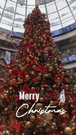 Christmas Holiday 
