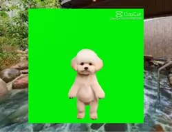 可愛い犬のAIバージョン