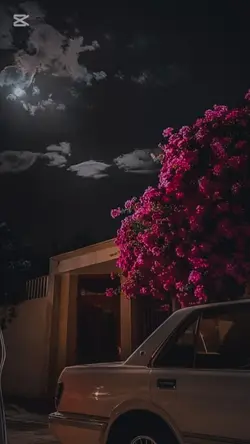 ترجمه آهنگ پشتو