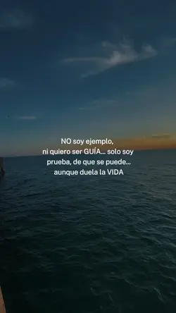 No soy ejemplo 