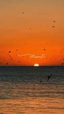 Golden Moments