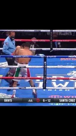 Boxing Knockout 