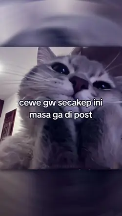 cewe gwe secakep ini