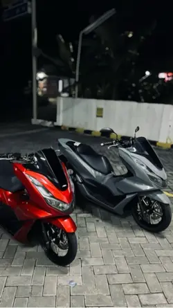 PCX Aesthetic 