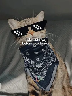 bahan sw