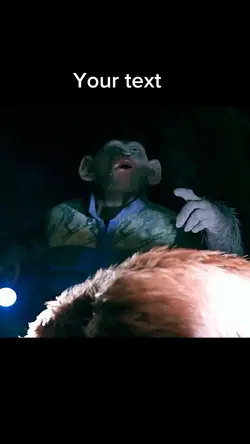 Oh no ohh no monkey