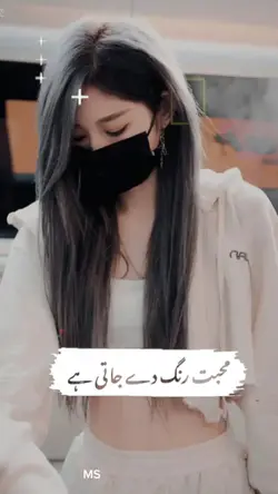 new template uff
