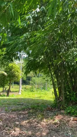 Slowmo simple