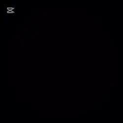 TikTok viral 