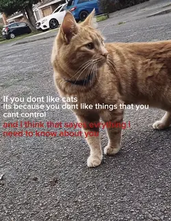Mr Fudge Stark