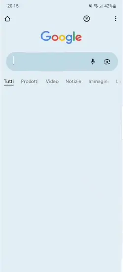 Google search 