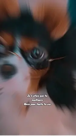 Hommage à ma chienne