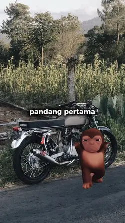 Stecu monyet joged