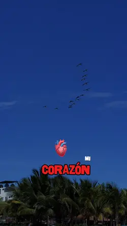 MI CORAZÓN TE ADORA