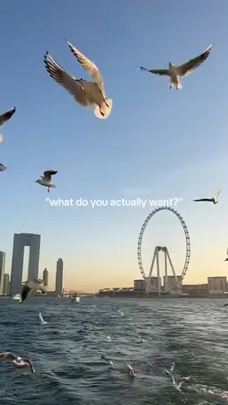 give me freedom