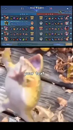 video meme size 16.9