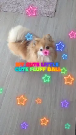 my FLUFF ball