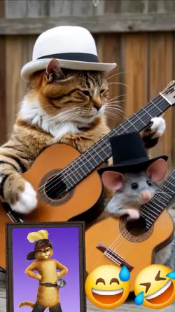 chat cat 