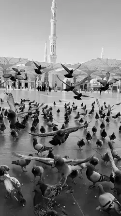 Islamic video