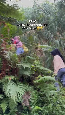 Pov naik bukit