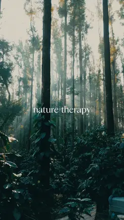 nature therapy