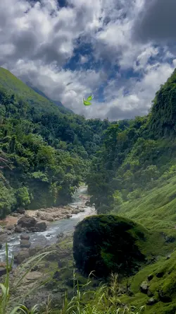 nature