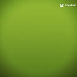 Edaé of Charli XCX