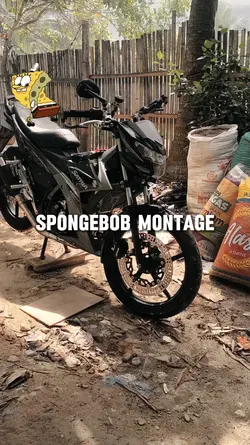 Spongebobmontage