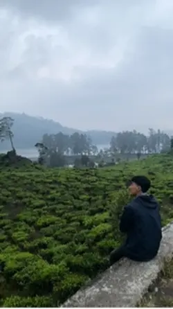 Vibes alam