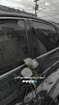 مطر..