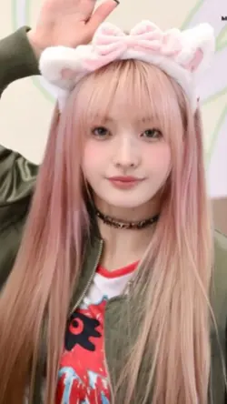 Fancam