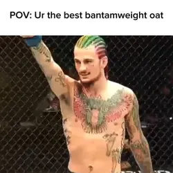Sean O’Malley