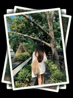 8Pic Clip Transition