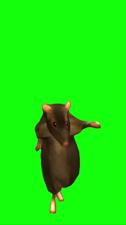 rat dancing