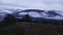 Baz_17