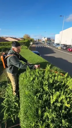 Gardening