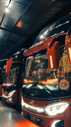 Bus cinematik