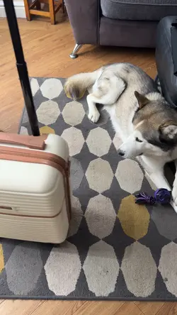 Post holiday 🧳