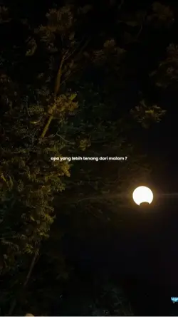 Vibes Malam