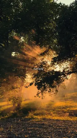 nature
